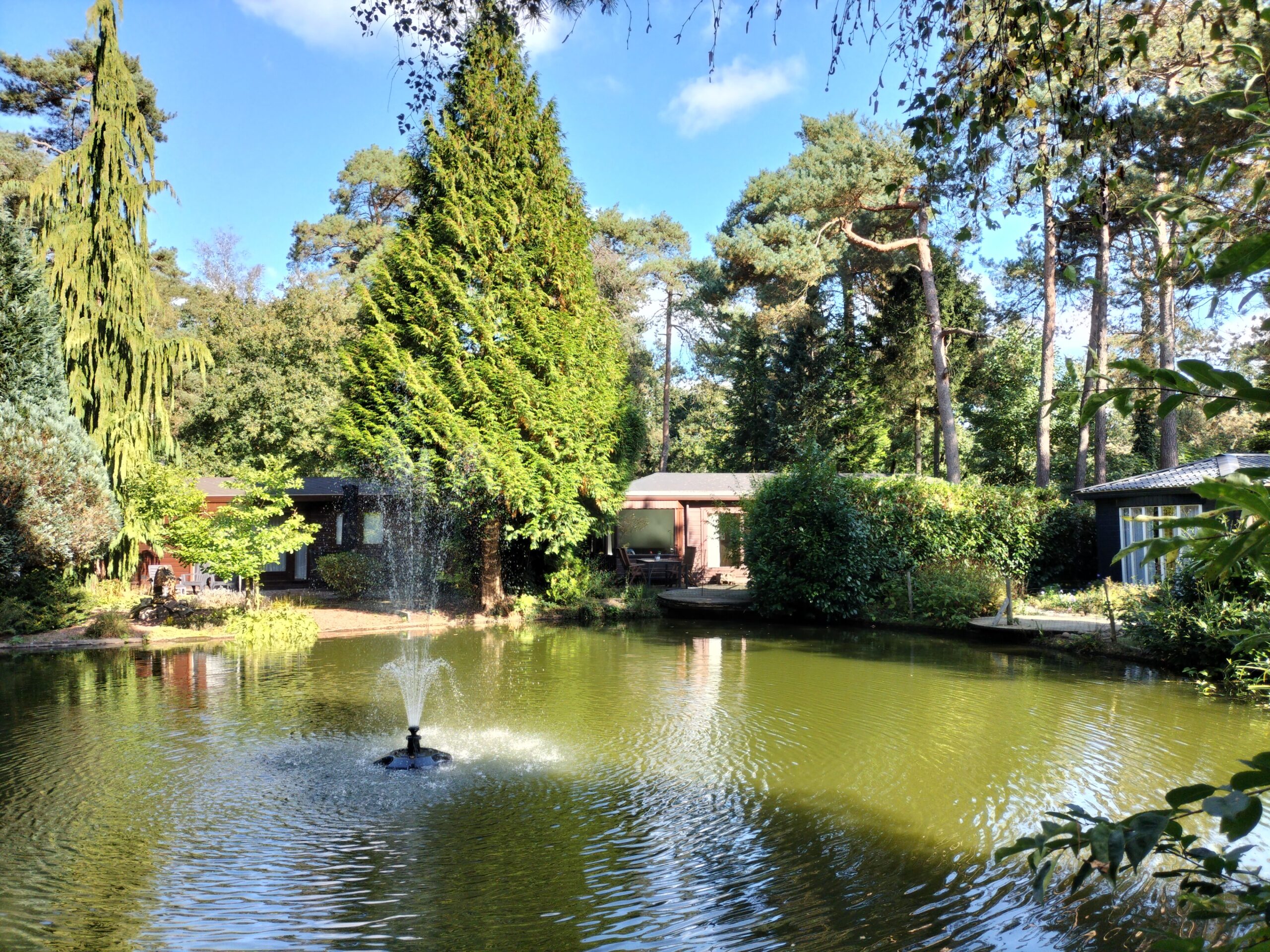 Natuurhuisje in Doornspijk