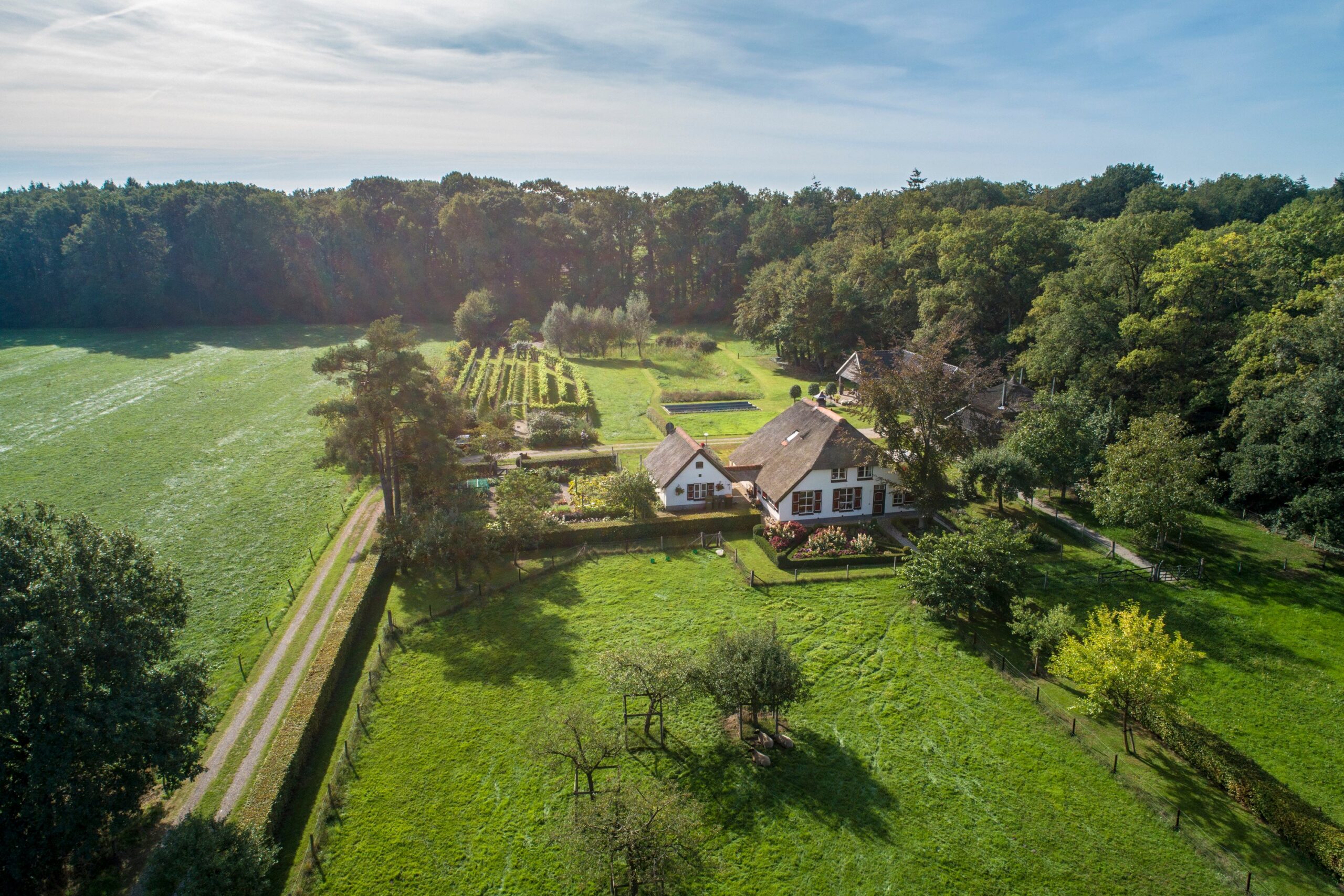 Natuurhuisje in Empe