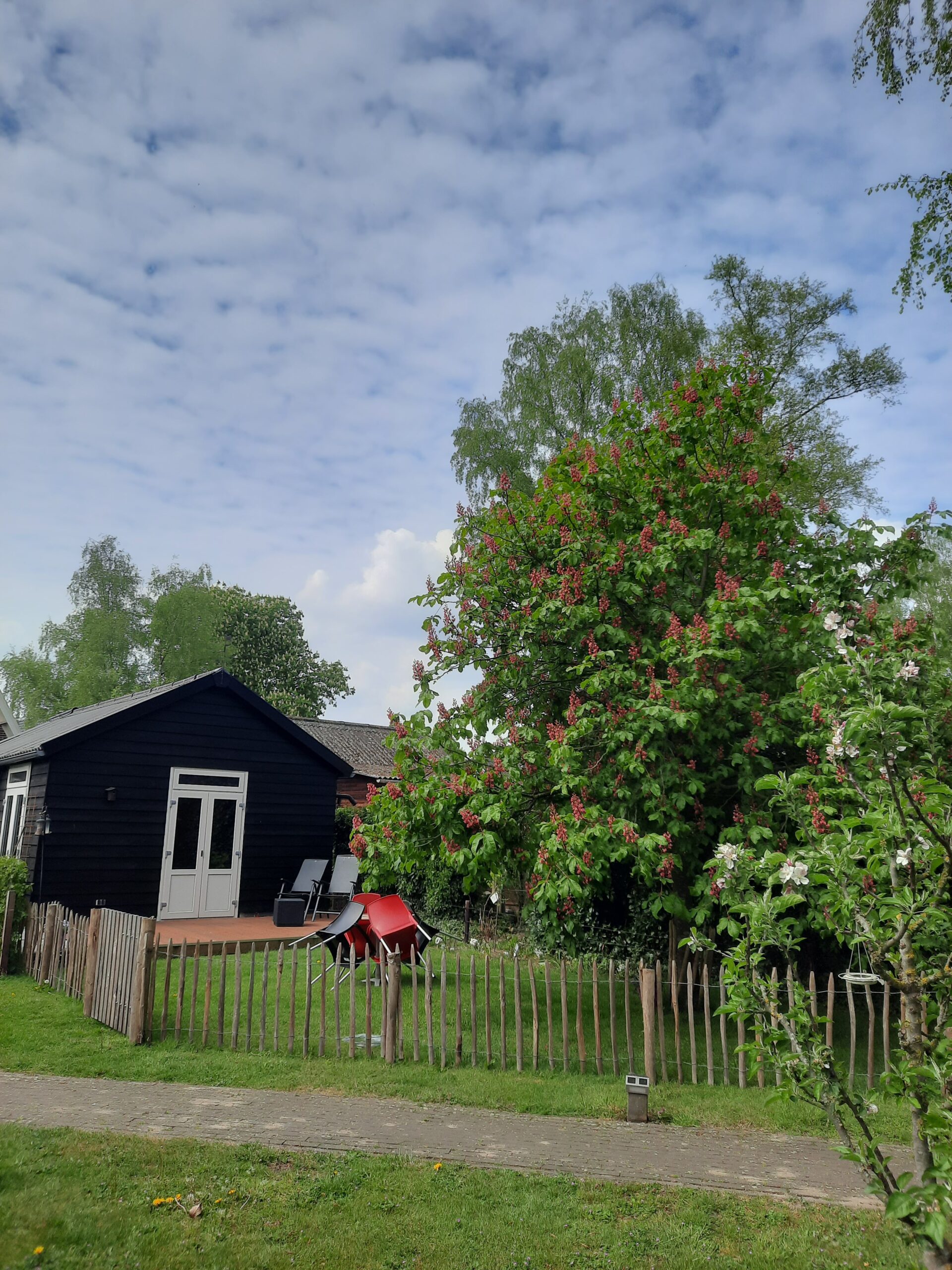 Natuurhuisje in Epe