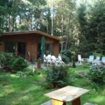 Natuurhuisje in Garderen