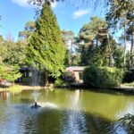 Natuurhuisje in Doornspijk