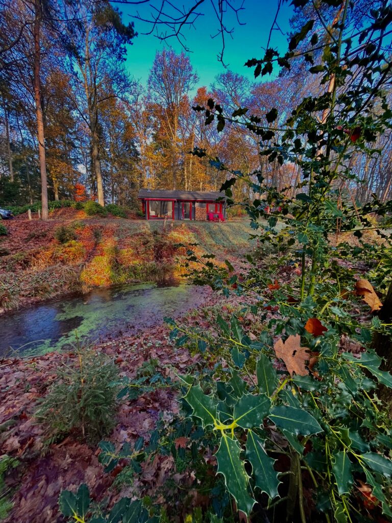 Natuurhuisje in Hulshorst