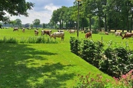 Natuurhuisje in Wezep