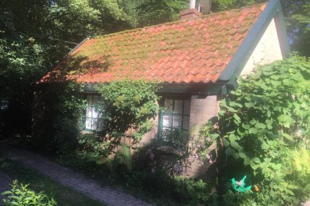 Natuurhuisje in Hulshorst