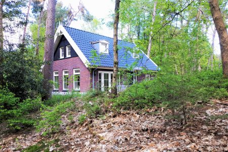 Natuurhuisje in Nunspeet
