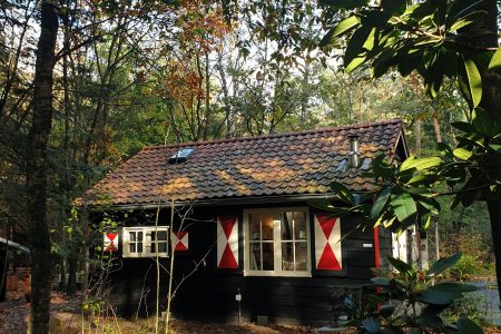 Natuurhuisje in Emst