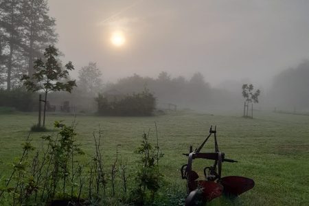 Natuurhuisje in Wiesel