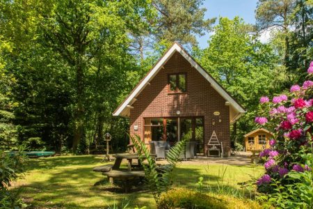 Natuurhuisje in Emst