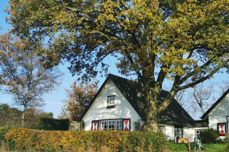 Natuurhuisje in Hoenderloo