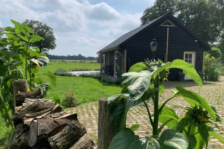 Natuurhuisje in Loenen